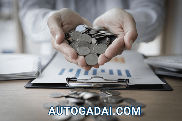 fungsi dan tujuan pemberian kredit