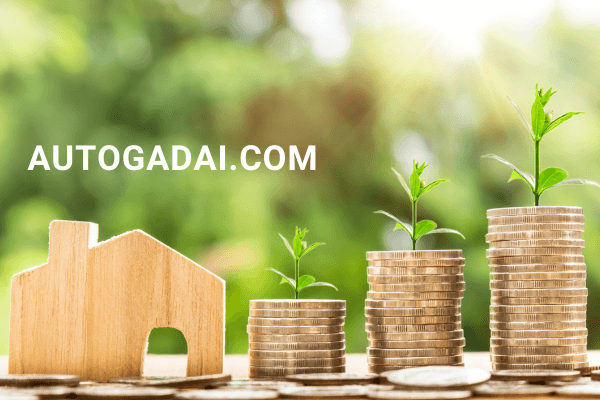 net worth adalah