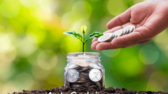 Memahami Secara Mendalam Apa Itu Investasi Tidak Langsung